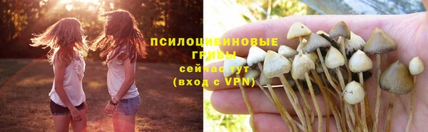 apvp Белокуриха