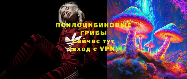 apvp Белокуриха
