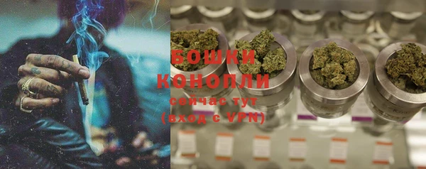 apvp Белокуриха