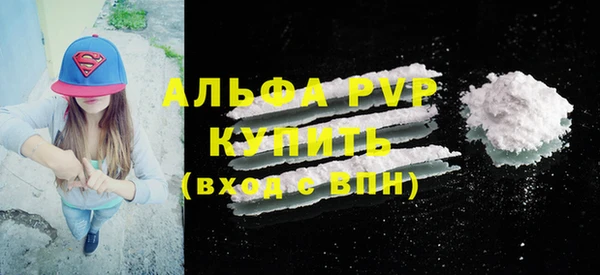 apvp Белокуриха