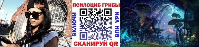 Купить  Тутаев  Галлюциногенные грибы ЛСД 
